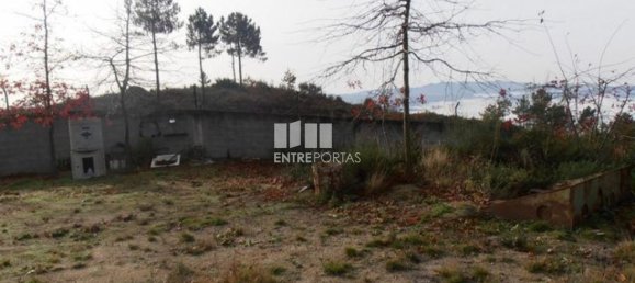 Grundstück in Marco de Canaveses, Portugal 22250m², Nr. 59406 6