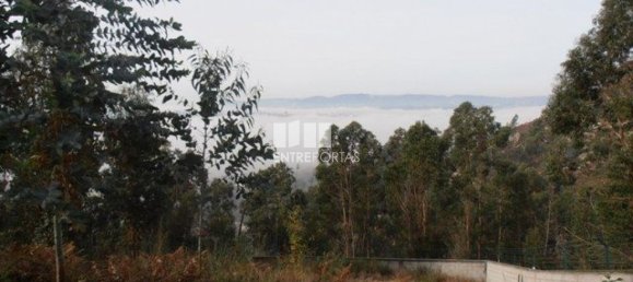 Grundstück in Marco de Canaveses, Portugal 22250m², Nr. 59406 11