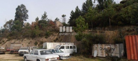 Grundstück in Marco de Canaveses, Portugal 22250m², Nr. 59406 7