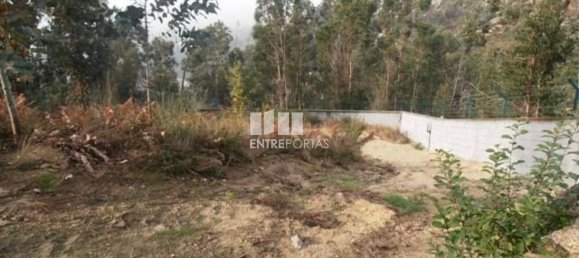 Grundstück in Marco de Canaveses, Portugal 22250m², Nr. 59406 10