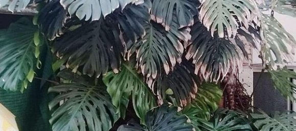 4 chambres Maison à Antella, Spain No. 129408 25