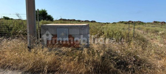 71500m² Land in Sardinia, Italy No. 290320 3
