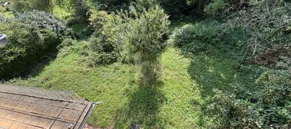 6 rooms House in Neunkirchen, Germany No. 283695 4