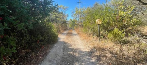 7 غرف نوم منزل في Sassari, Italy رقم 339665 3