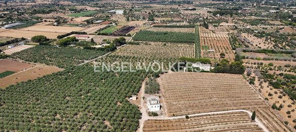 Casa T2 em Alezio, Italy N.º 291789 4