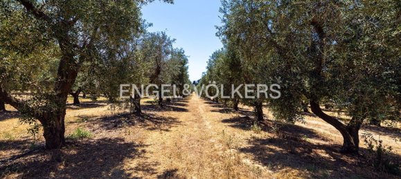 Casa T2 em Alezio, Italy N.º 291789 5