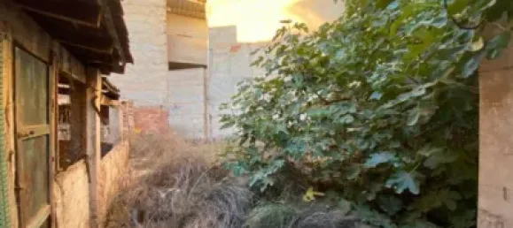 2 bedrooms House in Aspe, Spain No. 99780 8