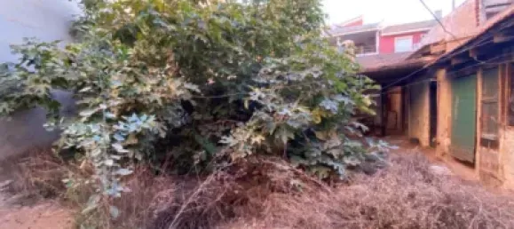 2 bedrooms House in Aspe, Spain No. 99780 5