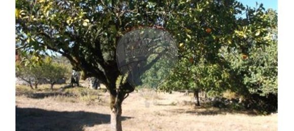 3 غرف نوم منزل في Abiul, Portugal رقم 25784 8