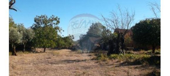 3 غرف نوم منزل في Abiul, Portugal رقم 25784 9