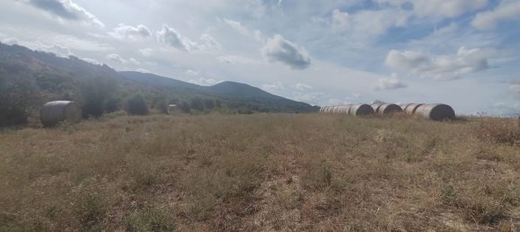 5 غرف نوم منزل في Guardea, Italy رقم 320035 22