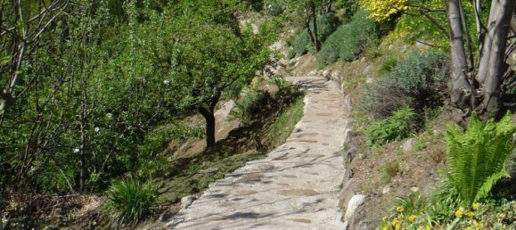 5-salle Maison à Cannobio, Italy No. 224983 6