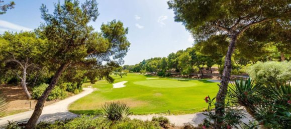 4 bedrooms House in San Miguel de Salinas, Spain No. 188356 40