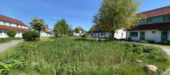 Duplex T2 em Vorpommern-Rugen, Germany N.º 318268 16