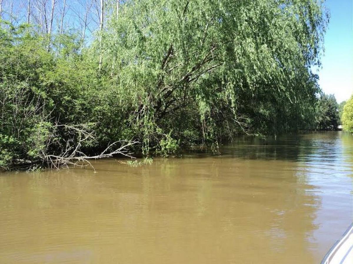  Land in San Fernando, Argentina No. 33395