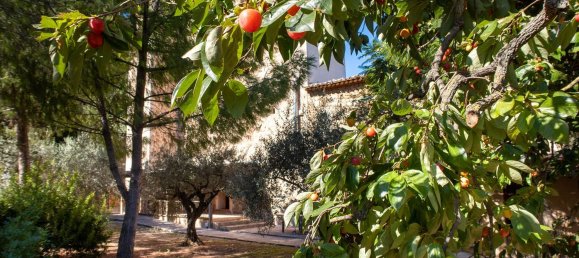 7 bedrooms House in Soller, Spain No. 156761 15