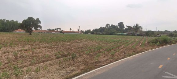  Commercial property in Bang Lamung, Thailand No. 1851 4