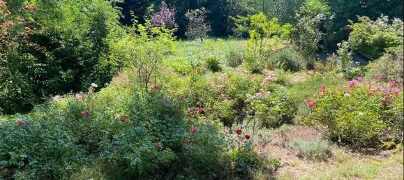 4غرفة منزل في Pirmasens, Germany رقم 220823 14