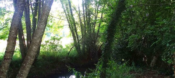 Casa de 3 dormitorios en Mussidan, France No. 305421 15