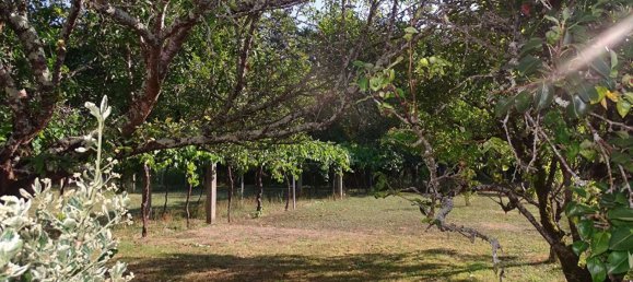 Casa de 3 dormitorios en Mussidan, France No. 305421 12