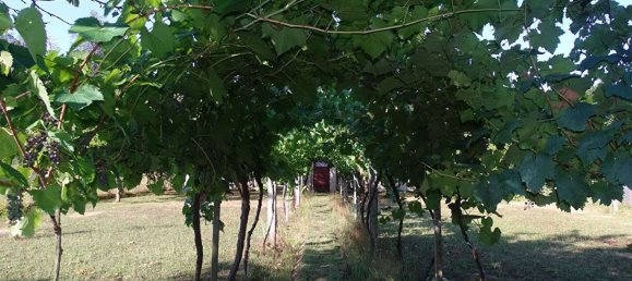 Casa de 3 dormitorios en Mussidan, France No. 305421 13