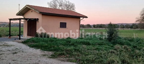 2 Schlafzimmer Haus in Grosseto, Italy, Nr. 90932 5
