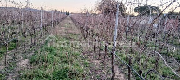 2 Schlafzimmer Haus in Grosseto, Italy, Nr. 90932 3