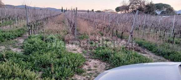 2 Schlafzimmer Haus in Grosseto, Italy, Nr. 90932 2