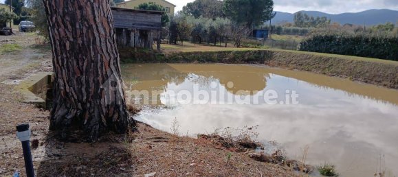 2 Schlafzimmer Haus in Grosseto, Italy, Nr. 90932 22