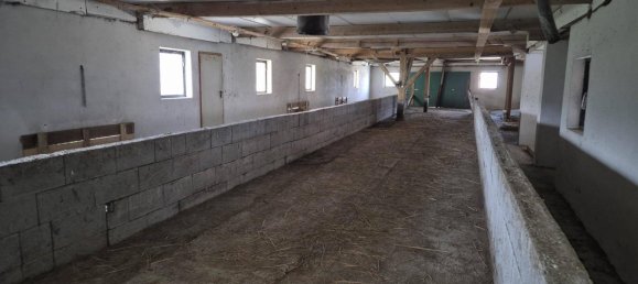 6 bedrooms House in Lower Austria, Austria No. 195904 12