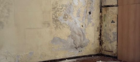 273m² Commercial property in Basque Autonomous Community, Spain No. 158307 2