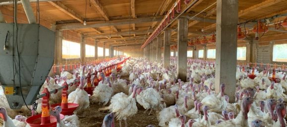 18627m² Land in Mas De Barberans, Spain No. 293649 4