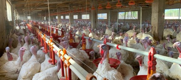 18627m² Land in Mas De Barberans, Spain No. 293649 16