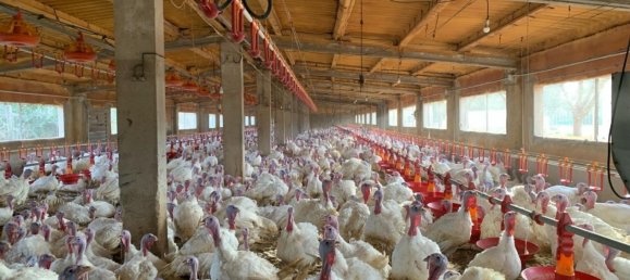 18627m² Land in Mas De Barberans, Spain No. 293649 7