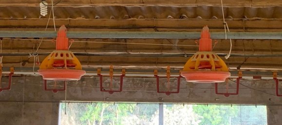 18627m² Land in Mas De Barberans, Spain No. 293649 12