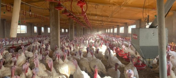 18627m² Land in Mas De Barberans, Spain No. 293649 17