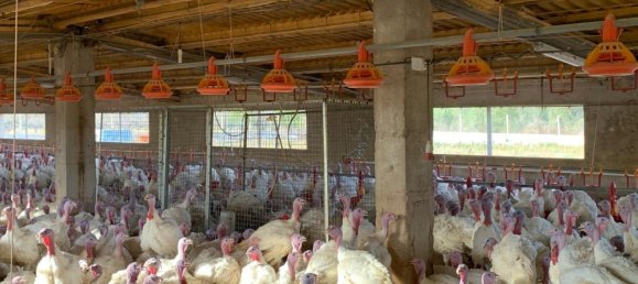 18627m² Land in Mas De Barberans, Spain No. 293649 14