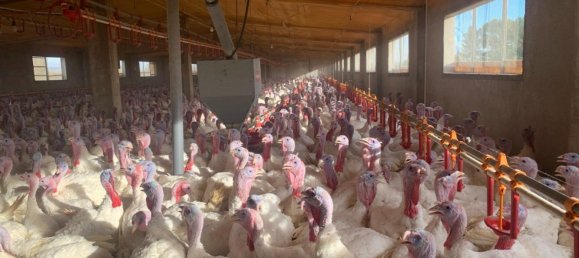 18627m² Land in Mas De Barberans, Spain No. 293649 26