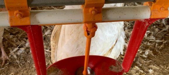 18627m² Land in Mas De Barberans, Spain No. 293649 13