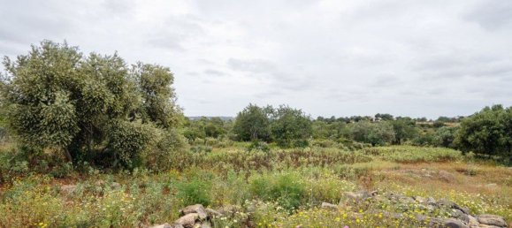 28160m² Land in Faro, Portugal No. 87124 7