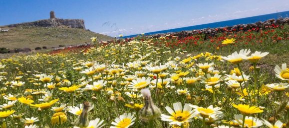 Casa de 3 habitaciónes en Morciano di Leuca, Italy No. 178741 24