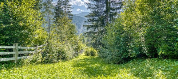 Земельный участок в Бибервир, Австрия № 11528 4