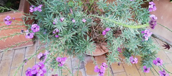 Duplex de 4 divisões em Cambiago, Italy N.º 339112 16