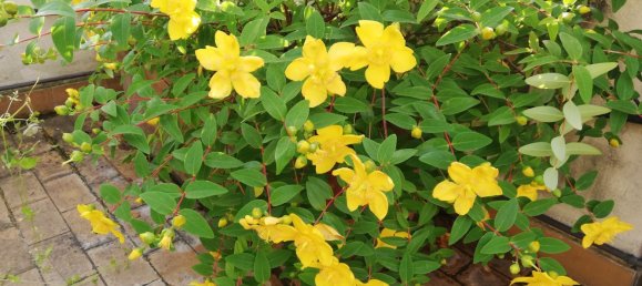 Duplex de 4 divisões em Cambiago, Italy N.º 339112 14