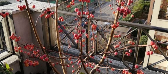 Duplex de 4 divisões em Cambiago, Italy N.º 339112 13