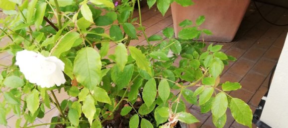 Duplex de 4 divisões em Cambiago, Italy N.º 339112 10