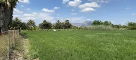 3555m² Land in Alicante, Spain No. 134875 9