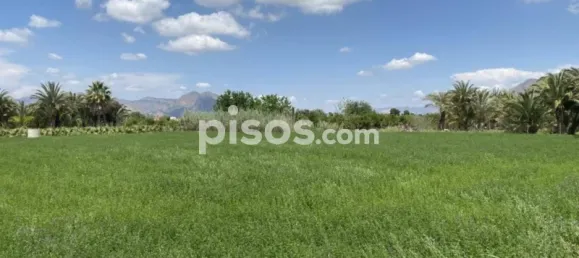 3555m² Land in Alicante, Spain No. 134875 8