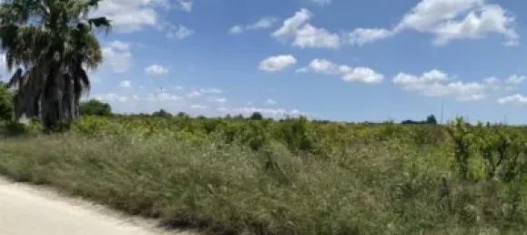 3555m² Land in Alicante, Spain No. 134875 3