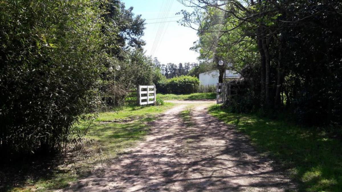 2 bedrooms House in Buenos Aires, Argentina No. 82902